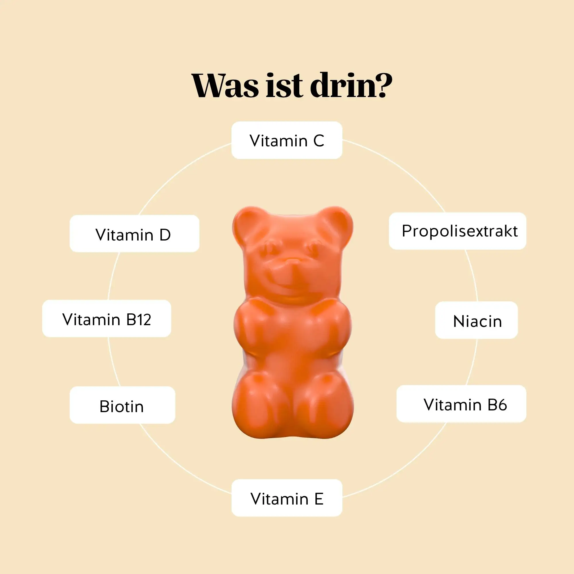 One Bear a Day Immune* Vitamin - Image 3